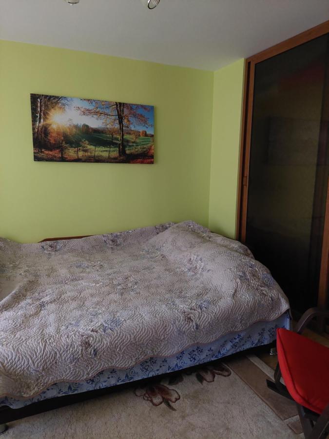 Fely Room 彼得罗沙尼 外观 照片